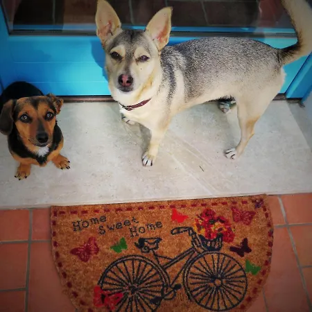 Bed & Breakfast B&b-le Rondini Monserrato